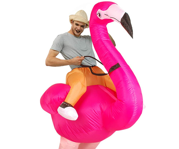 Inflatable Flamingo Costume