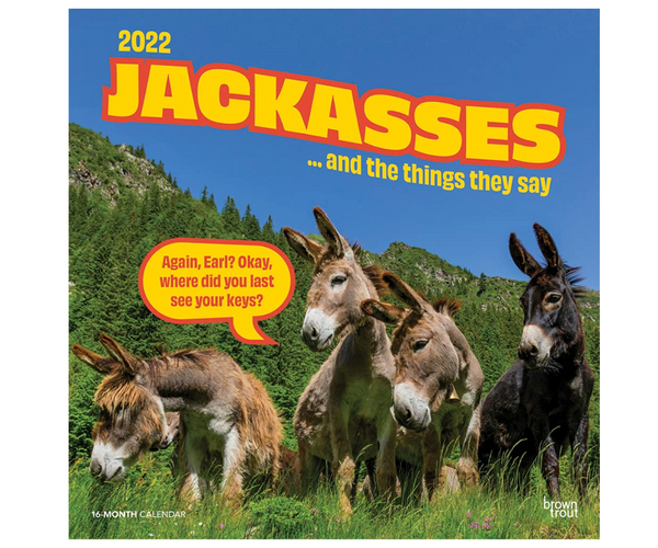 Jack*sses and the Things They Say Funny Calendar