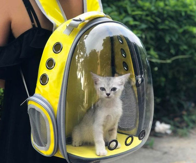 Pet Carrier Backpack