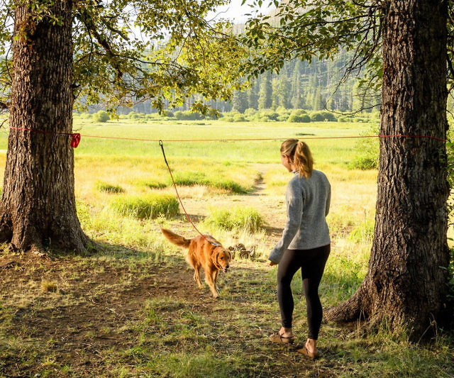 Knot-A-Hitch Dog Hitching System
