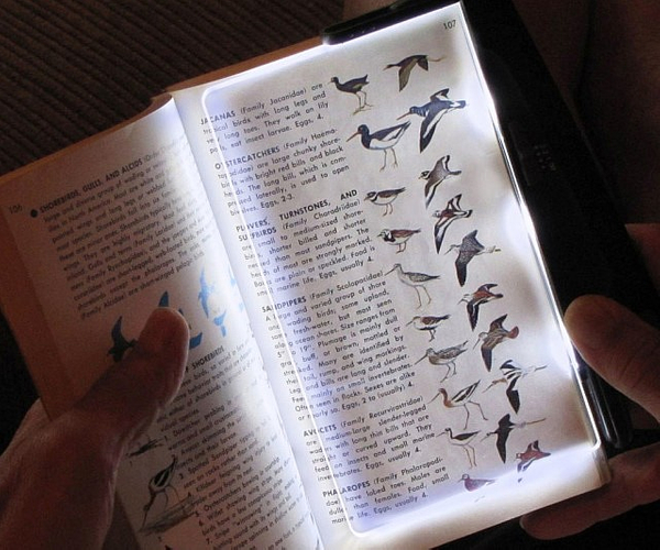 LED Booklight