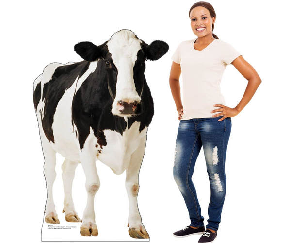 Lifesize Cow Cutout