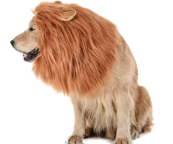 Lion Mane for Dogs