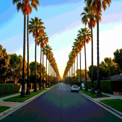 35 Glamorous Los Angeles Gifts As Star-Studded And Dreamy As The City Itself