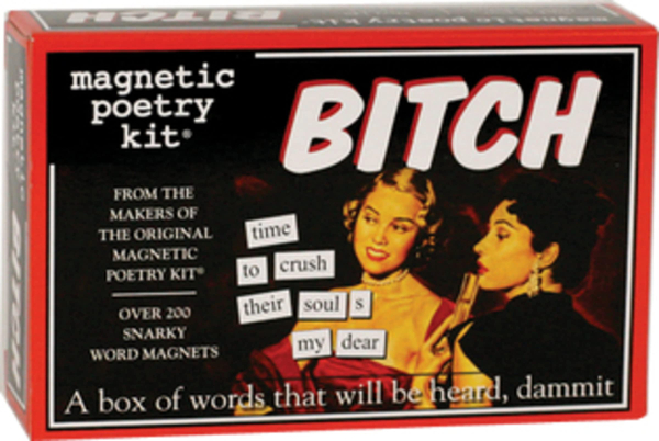 Magnetic Poetry B*tch Kit