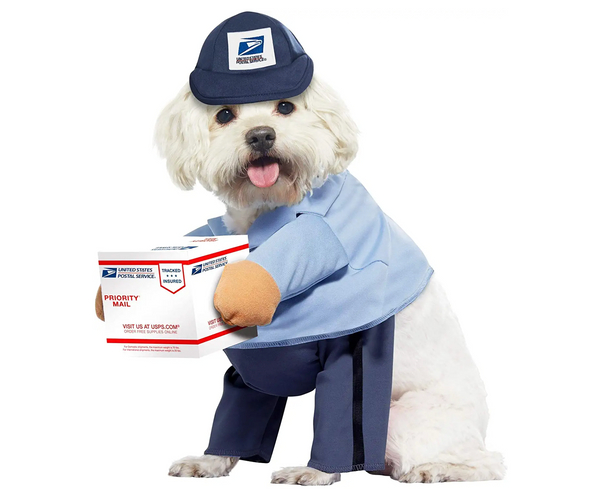 Mailman Dog Costume
