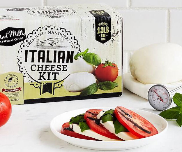 Make Your Own Cheese Kit