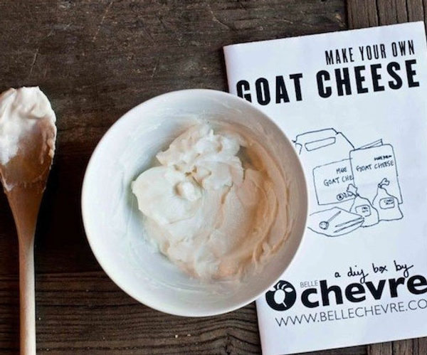 Make Your Own Goat Cheese Kit