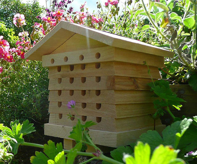 Mason Bee Condo House