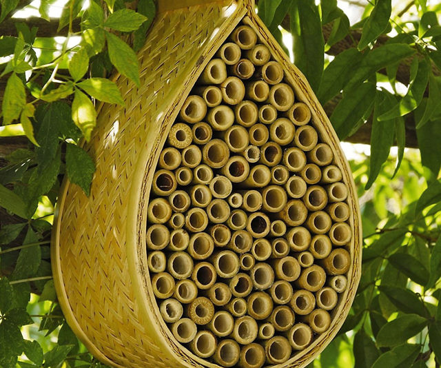 Mason Bee House