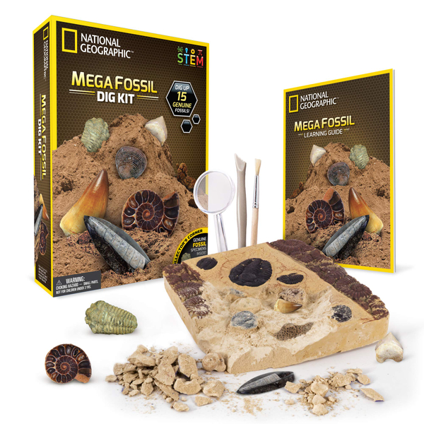 Mega Fossil Hunter Kit