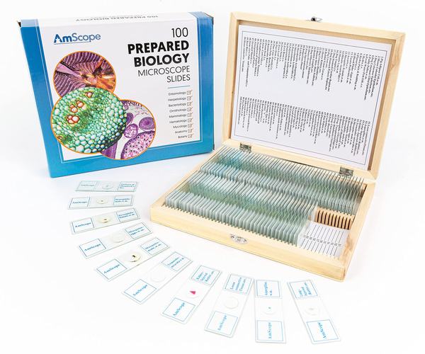 Microbiology Slide Kit