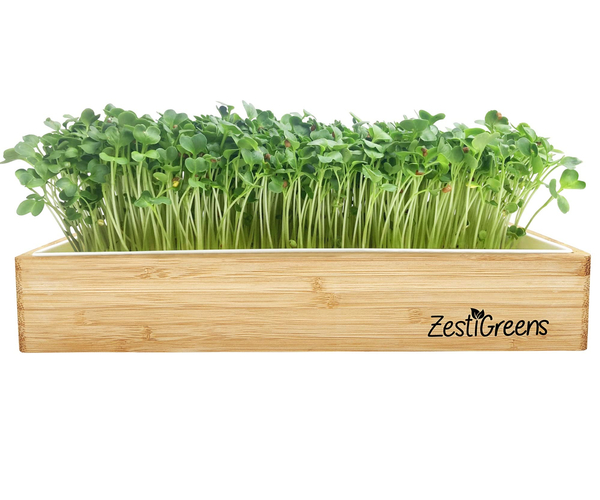 MicroGreens Starter Set