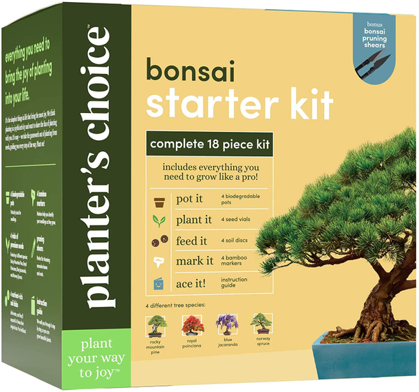 Mini Bonsai Kit