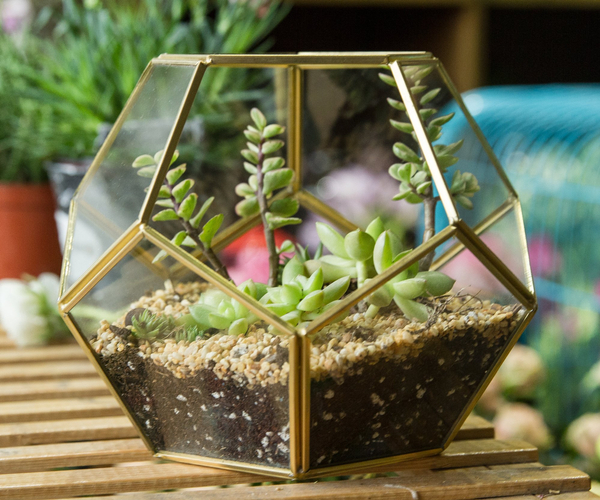 Mini Brass Glass Geometric Succulent Planter