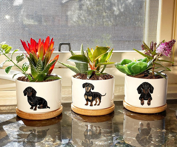 Mini Doxie Planter