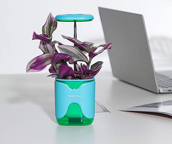 Miniature Indoor Garden