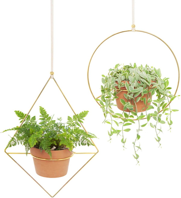 Modern Gold Plant Hangers