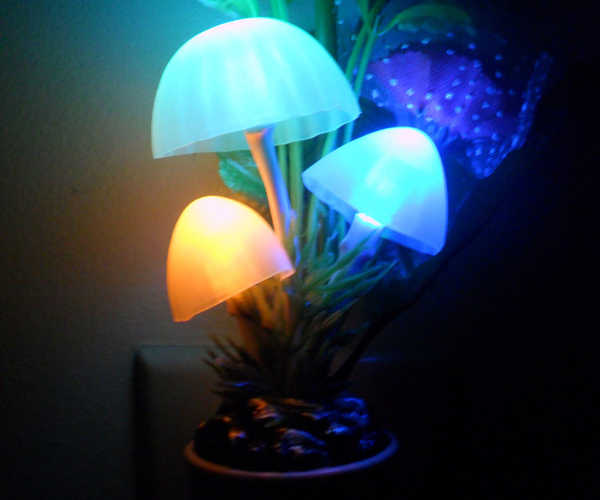 Mushroom Dream Night Light
