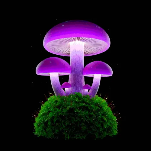 27 Magical Mushroom Gifts That Mushroom Lovers And Fungi Aficionados Will Love