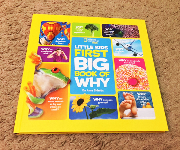 National Geographic Little Kids First Big Book of Why
