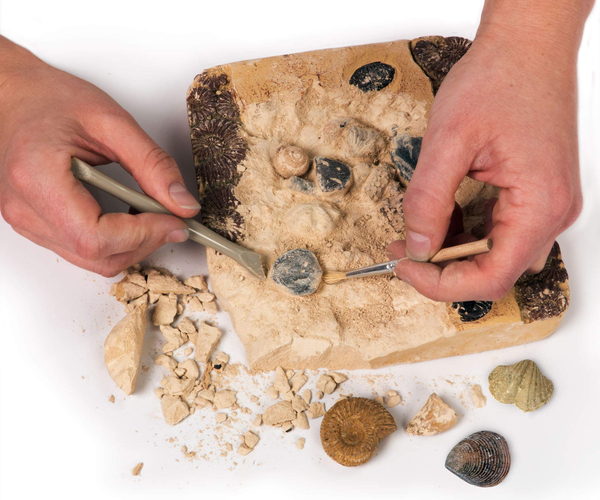 National Geographic Mega Fossil Dig Kit