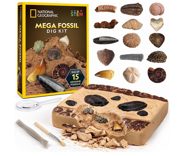 National Geographic Mega Fossil Dig Set