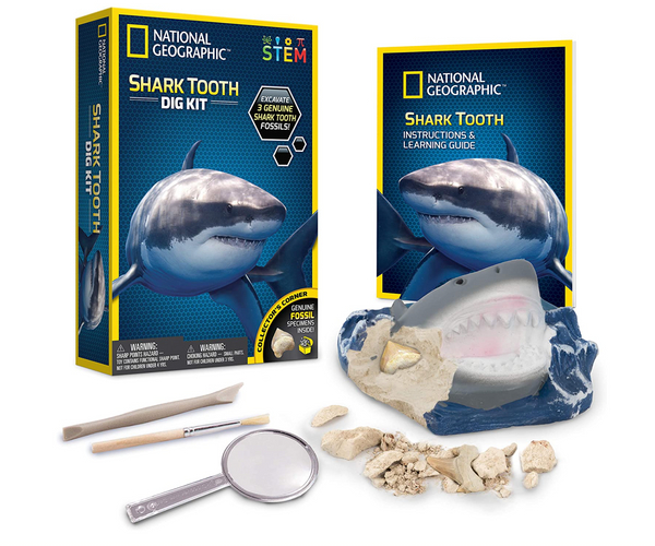 National Geographic Shark Tooth Dig Kit