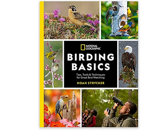 National Geographic's Birding Basics