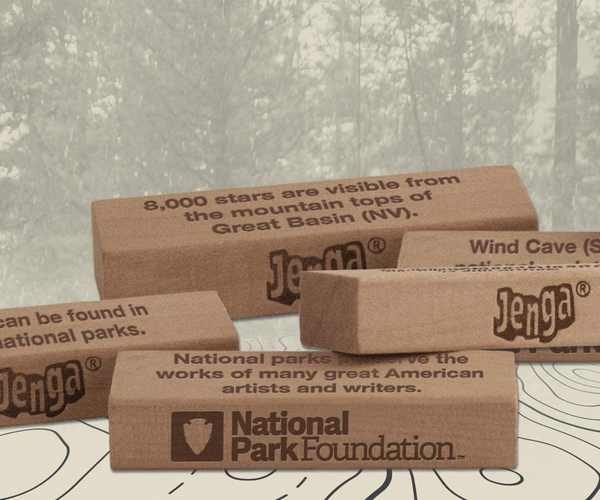 National Park Foundation Jenga
