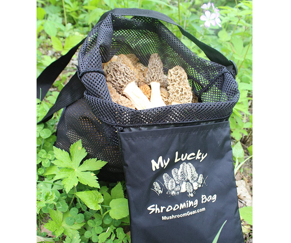 Over the Shoulder Mushroom Bag