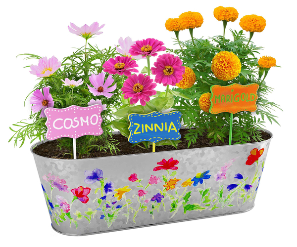 Paint & Plant Flower Growing Kit