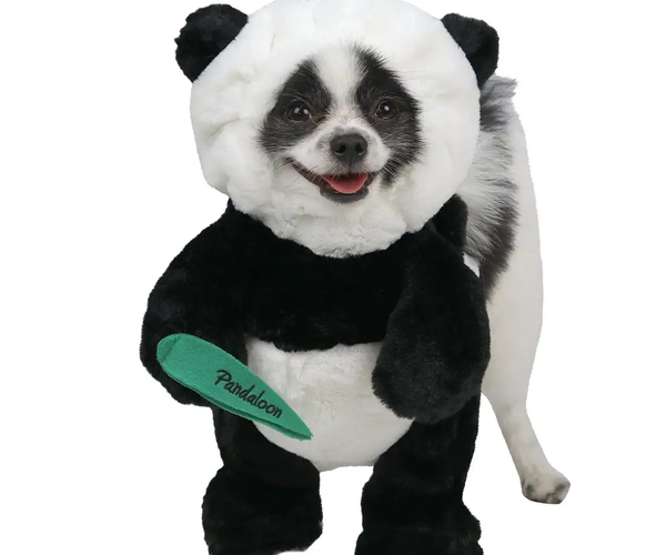 Panda Bear Doggy Costume