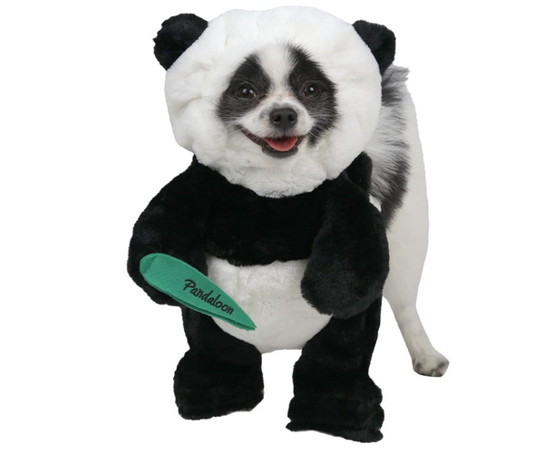 Panda Dog Costume