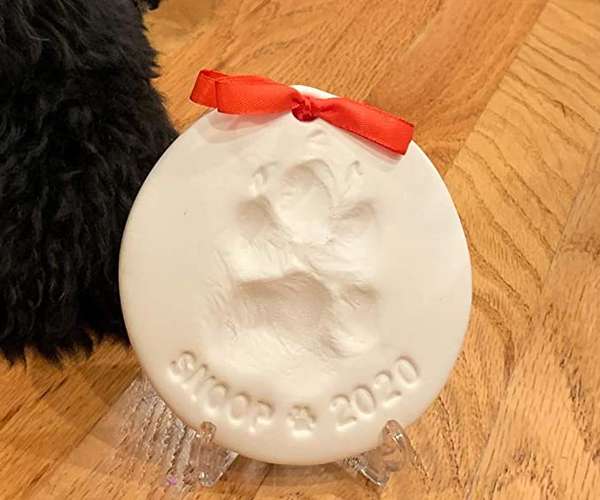 Paw Print Keepsake Kit