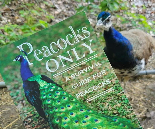 Peacocks Only: A Survival Guide for Peacocks