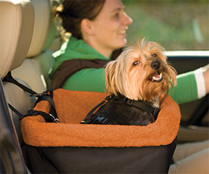 Pet Car Seat