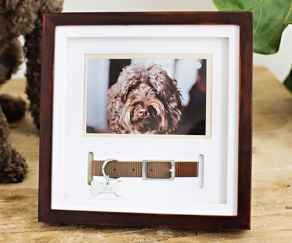 Pet Collar Keepsake Picture Frame
