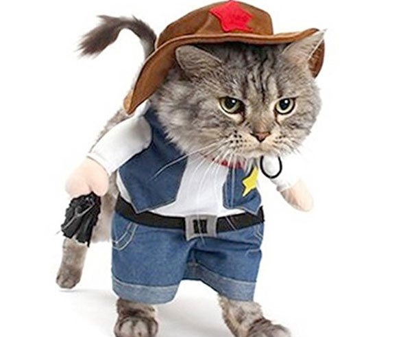 Pet Cowboy Costume