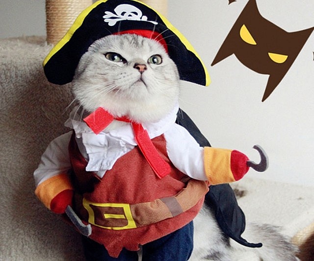 Cat Pirate Costume