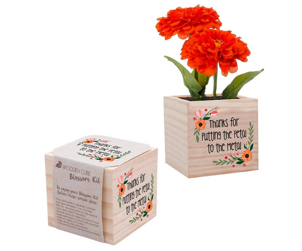 Petal to the Metal Appreciation Plant Cube