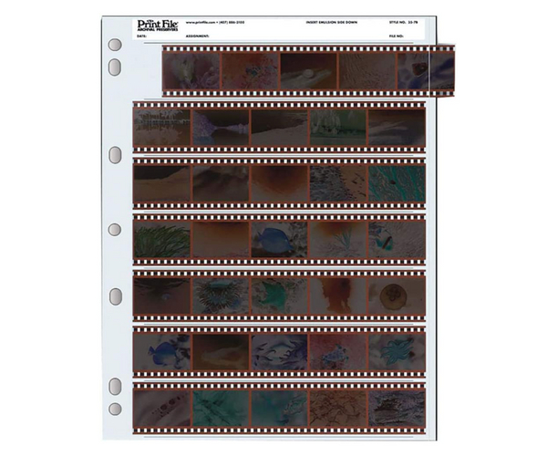 Photo Negative Binder Pages