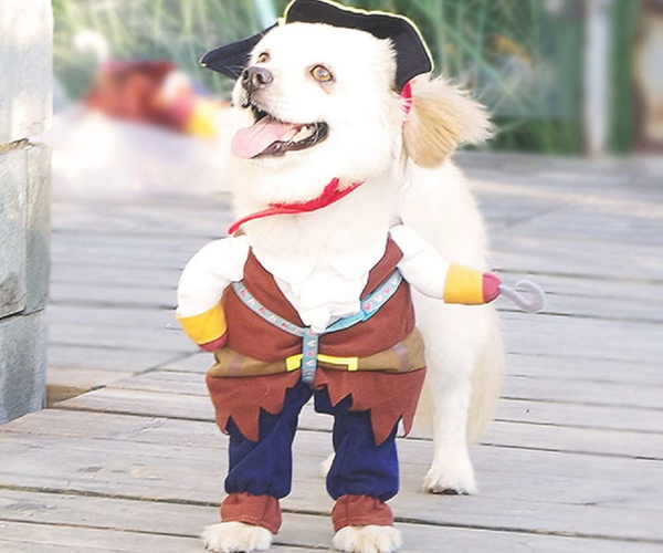 Pirate Dog Costume