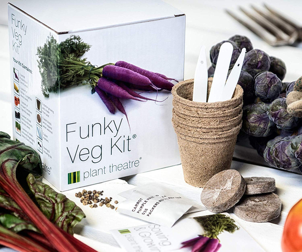 Plant Theatre Funky Vegetable Growing Kit