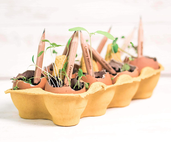 Plantable Pencils