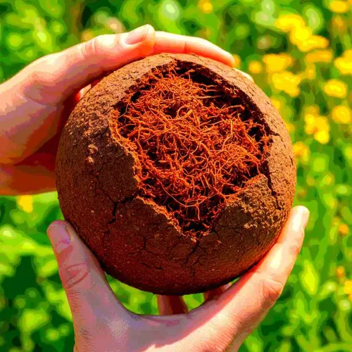 37 Turd-rific Poop Gifts That Aren't As Crappy As They Look