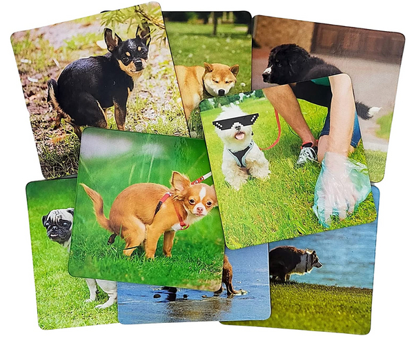 Pooping Dog Coaster Set