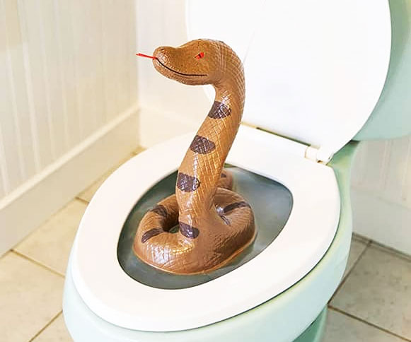 Pop-Up Toilet Snake