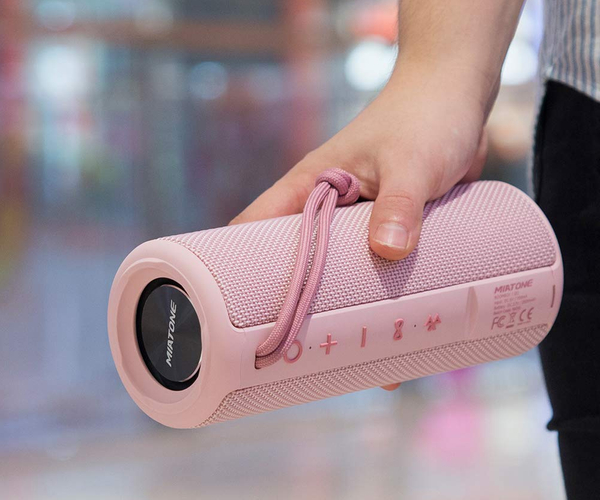 Portable Bluetooth Wireless Speaker