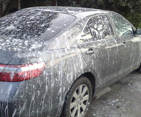 Prank Fake Bird Poop